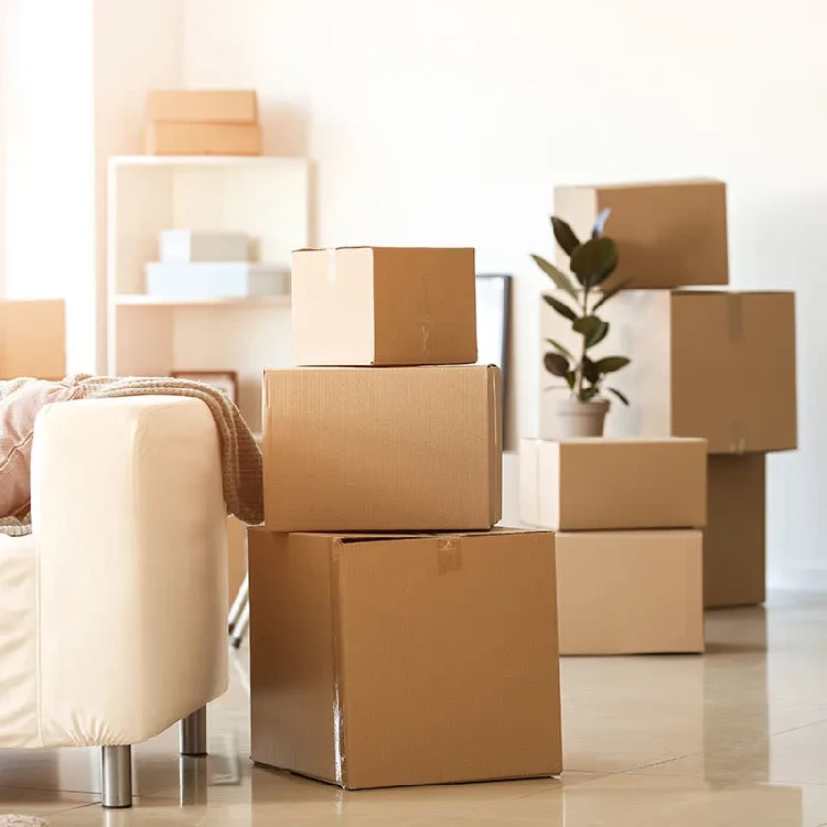 Mover's Boxes